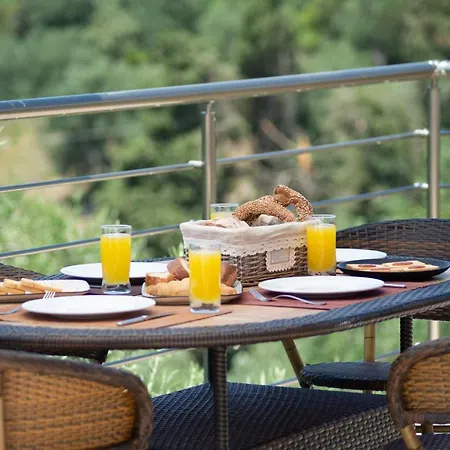 Olea Stone House Near The Sea *